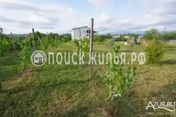 Гостевой дом «Пионер», Амзара