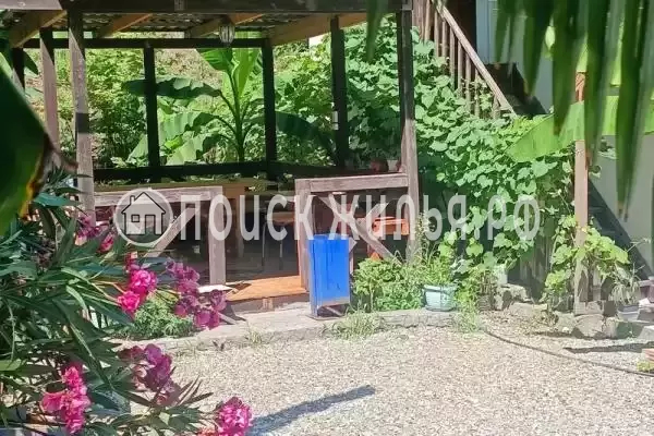 «Letto», Солоники