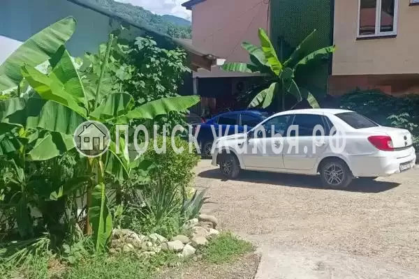 «Letto», Солоники