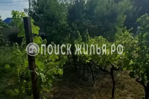 «Basos -5 бочек», Джемете «Basos -5 бочек», Джемете