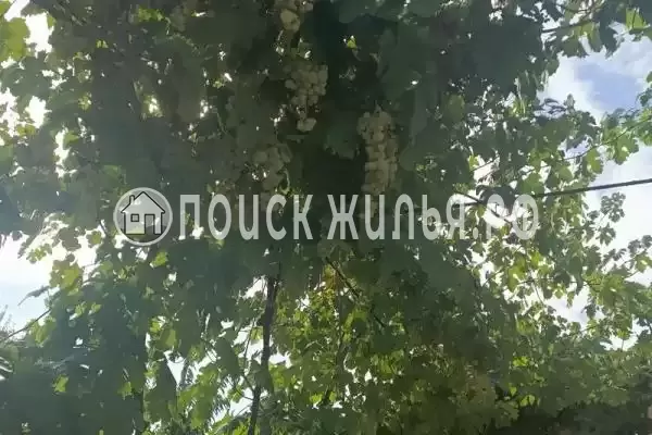 «Basos -5 бочек», Джемете «Basos -5 бочек», Джемете