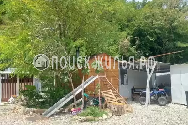 «Mountain», Шепси