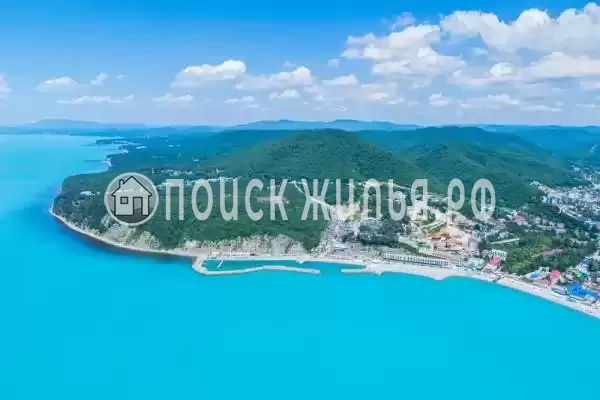 «Дельфин», Ольгинка