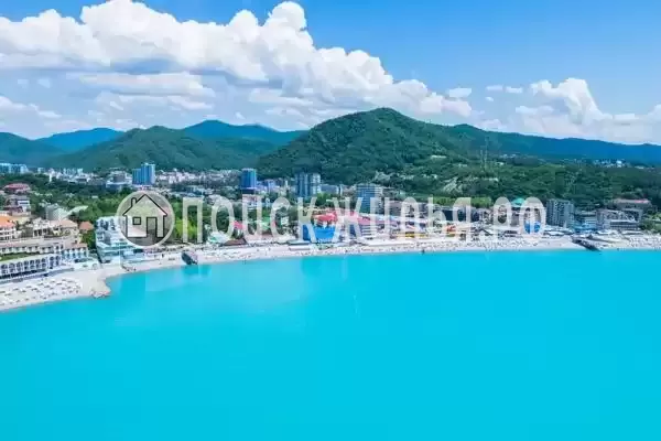 «Дельфин», Ольгинка