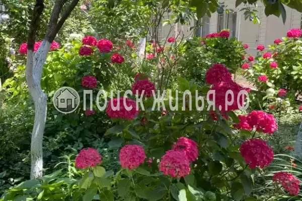 Частный сектор «Берёзка», Лазаревское