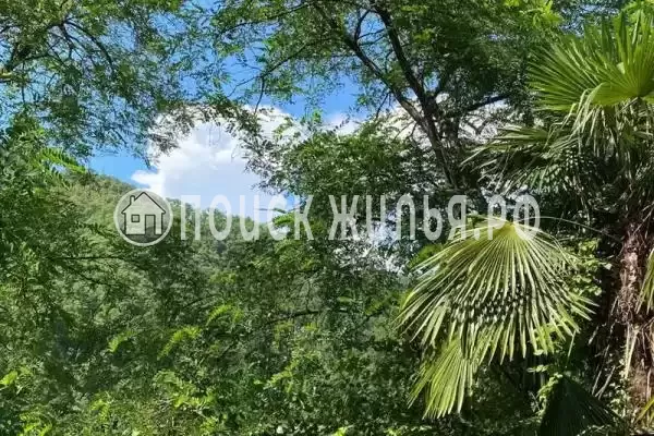 «Зеленый рай», Чемитоквадже «Зеленый рай», Чемитоквадже