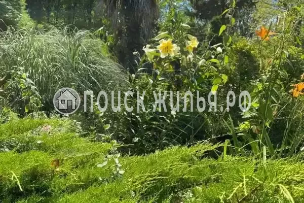 «Зеленый рай», Чемитоквадже «Зеленый рай», Чемитоквадже