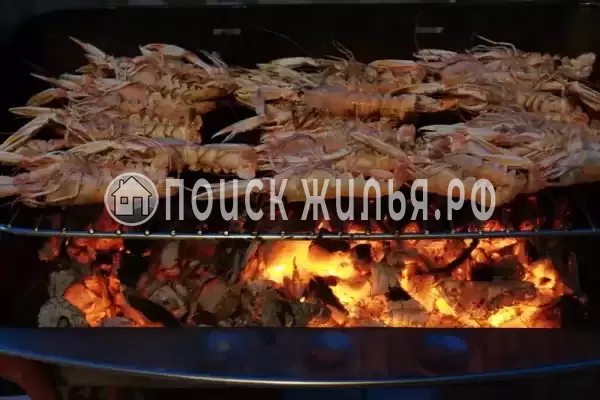 Частный сектор «Дельфин», Алушта Частный сектор «Дельфин», Алушта