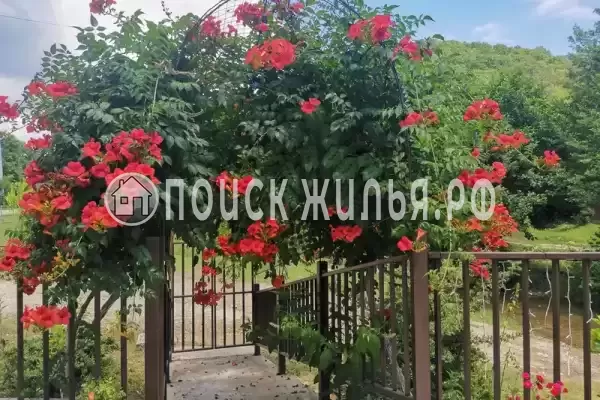 Гостиница «Бамбучо», Лдзаа