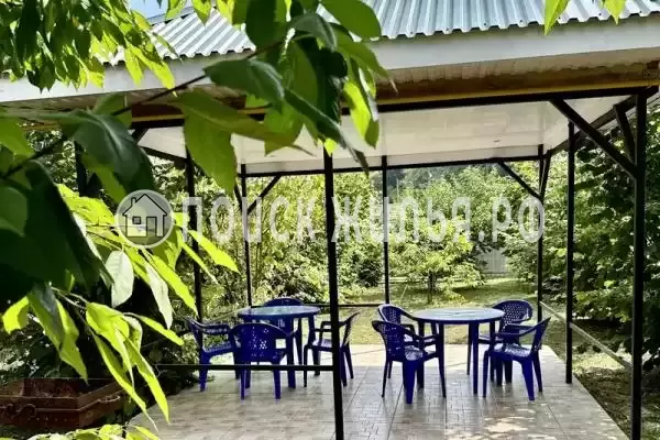 «Швейцария», Агой