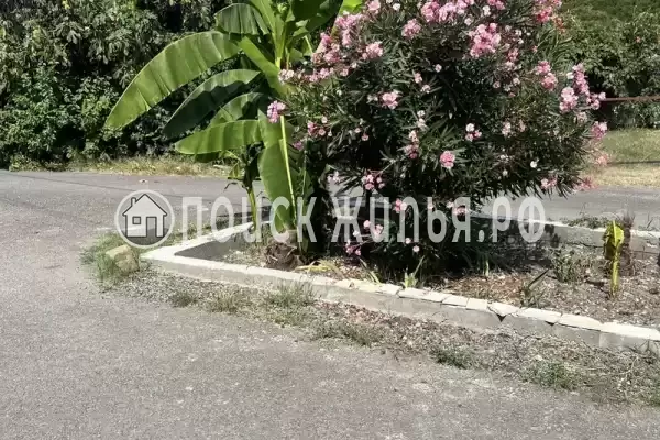 «Ирина», Макопсе