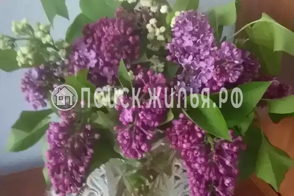 Частный сектор «На Садовой», Новофедоровка Частный сектор «На Садовой», Новофедоровка
