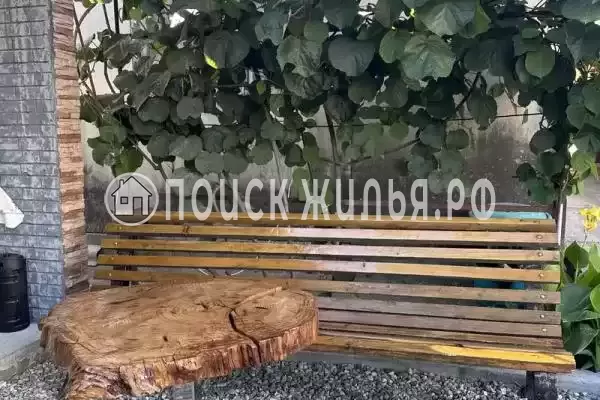 Дом под ключ «Камелия», Пицунда Дом под ключ «Камелия», Пицунда