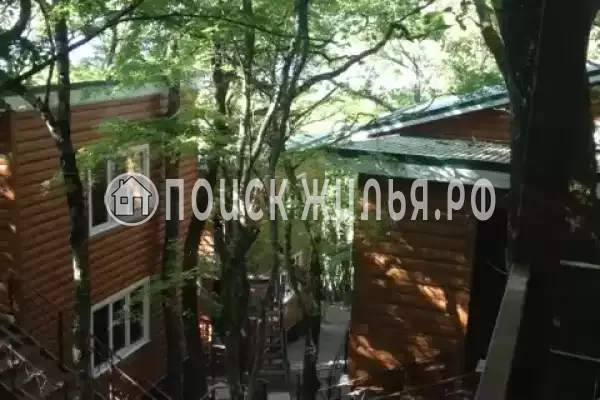 База отдыха «Тихий лес», Криница