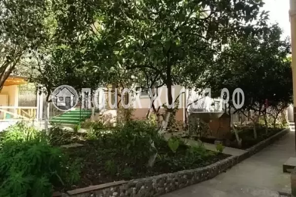 Гостевой дом «Камелия», Цандрипш Гостевой дом «Камелия», Цандрипш