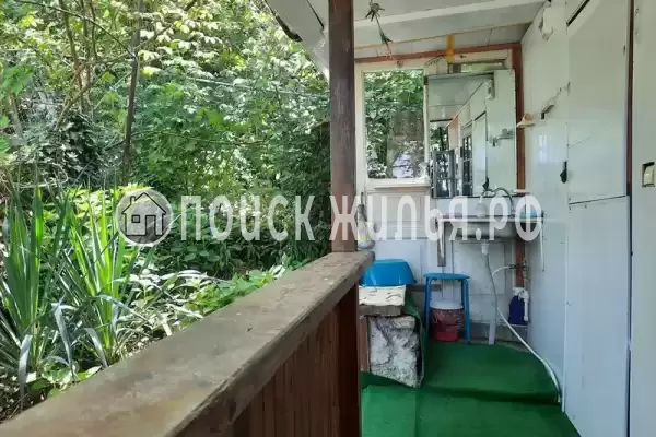 «Орхидея», Лазаревское «Орхидея», Лазаревское