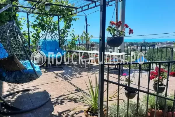 «Орхидея», Лазаревское «Орхидея», Лазаревское