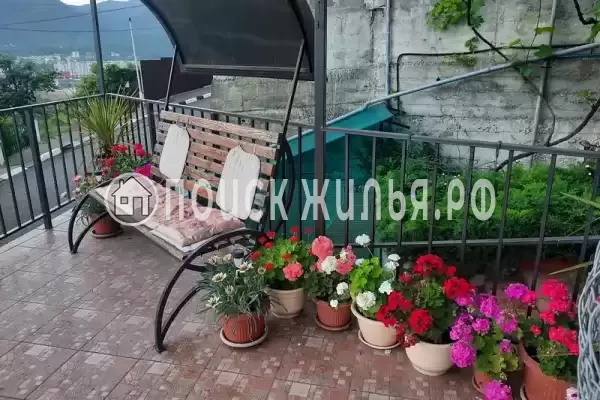 «Орхидея», Лазаревское «Орхидея», Лазаревское