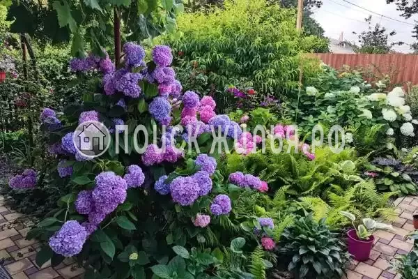 Дом под ключ «Золотая рыбка»