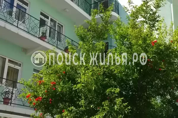 Частный сектор «Жак и Ко», Адлер