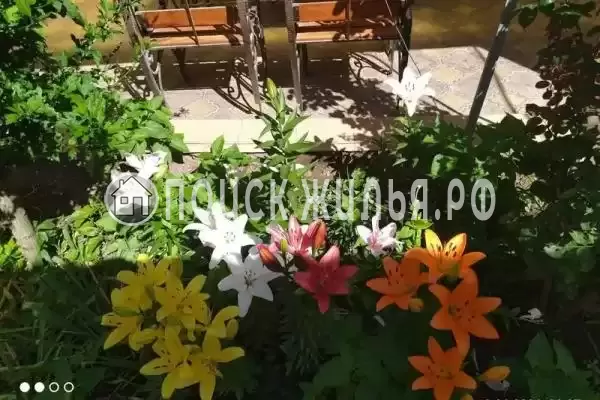 «Белая дача», Витязево