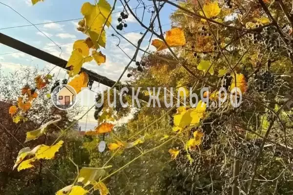 Гостевой дом «Мия-виктория», Гагра Гостевой дом «Мия-виктория», Гагра