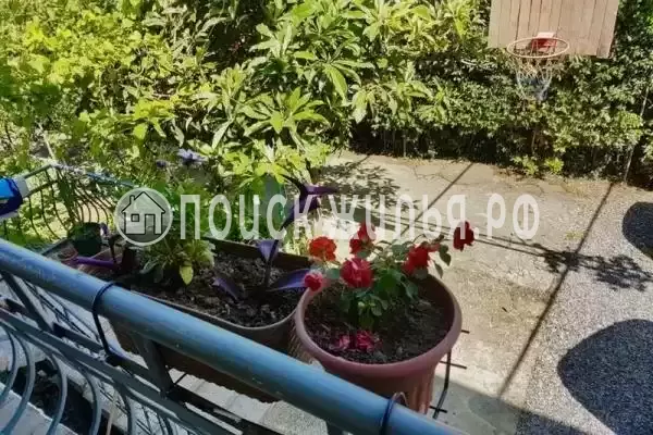 Гостевой дом «Мия-виктория», Гагра Гостевой дом «Мия-виктория», Гагра