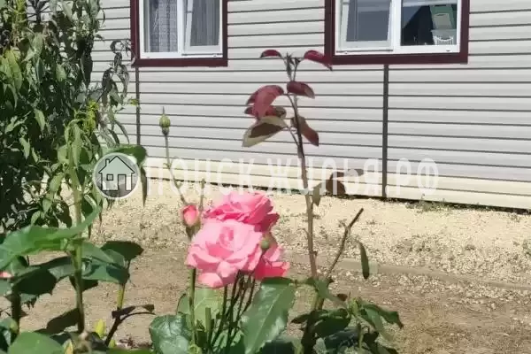 Частный сектор «Дача У Иваныча», Краснодарский край, Анапа, Благовещенская, Приморская, д.10