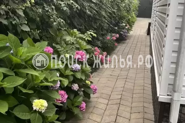 «У Николая», Лазаревское