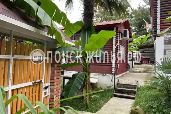 «Пальма Де Мацеста», Сочи «Пальма Де Мацеста», Сочи