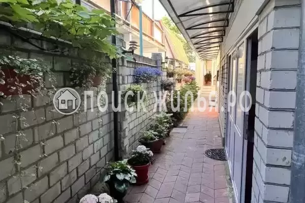 «На Павлова 33», Лазаревское