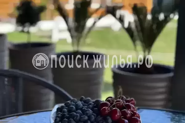 Гостевой дом «Артём», Новый Афон Гостевой дом «Артём», Новый Афон