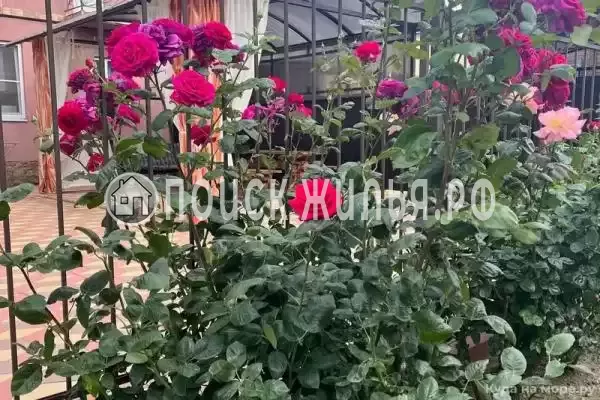 «Фаворит», Краснодарский край, Голубицкая, Казачья, д.18 «Фаворит», Краснодарский край, Голубицкая, Казачья, д.18