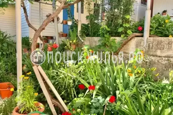 «Уют», Лазаревское