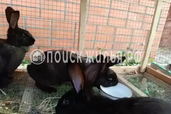 «R&s», Джубга «R&s», Джубга