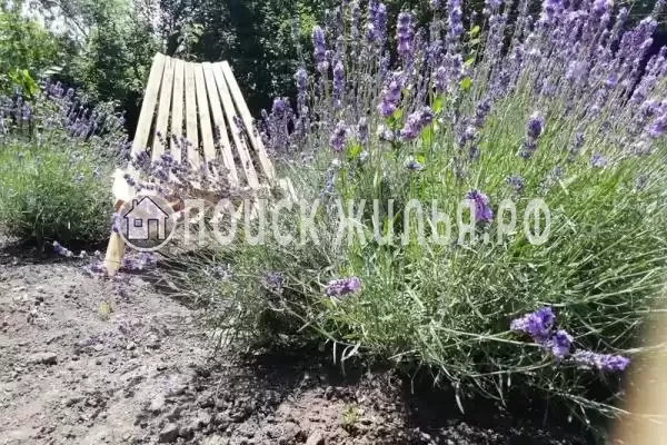 «Полянка», Витязево