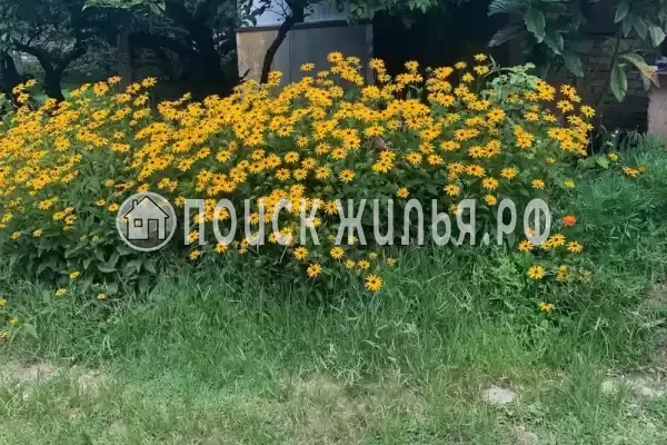 Гостевой дом «Каролина», Лдзаа