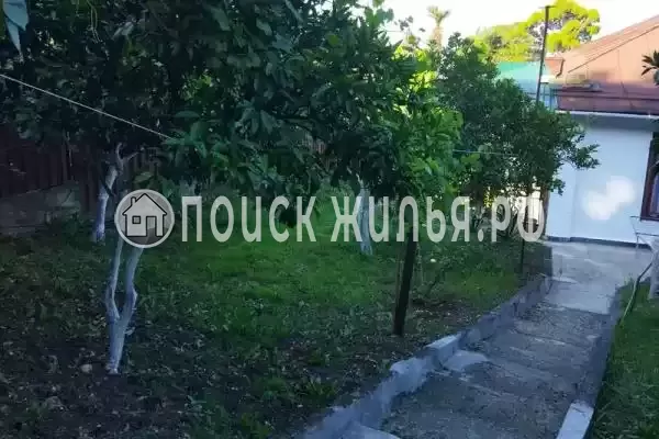 Частный сектор «Резеда», Гагра