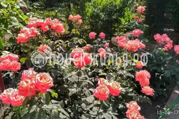 Частный сектор, Калинина, д.237, Ейск