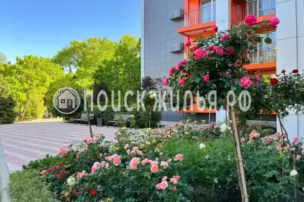 Гостиница «Мореин», Джубга