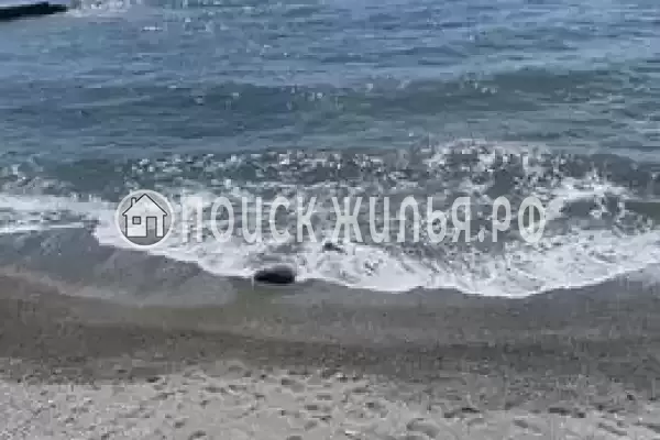 «Дача на маяке», Алушта «Дача на маяке», Алушта