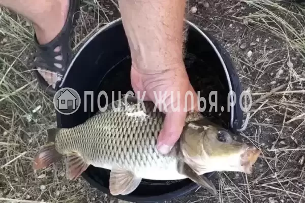 Дом под ключ «Азовские жемчужины», Голубицкая