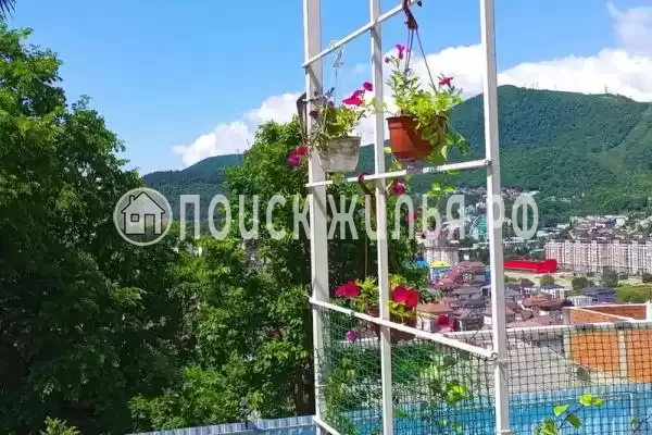 «Мечта», Лазаревское