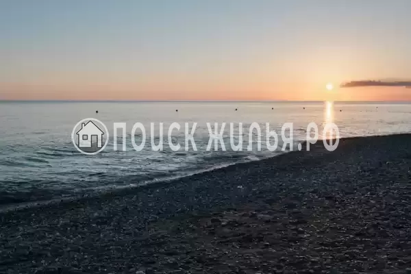 «Черный кот», Головинка