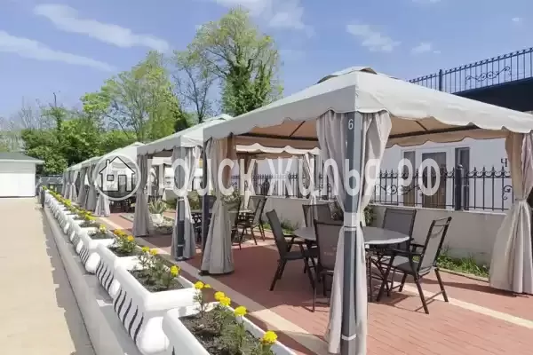 «Черный кот», Головинка