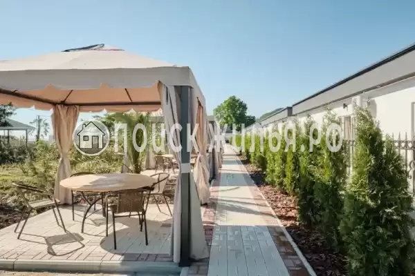 «Черный кот», Головинка