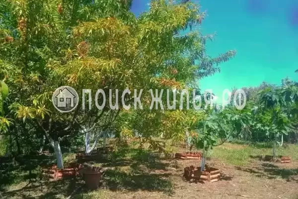 Частный сектор «У Отара», Сухум Частный сектор «У Отара», Сухум