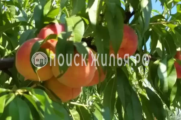 Дом под ключ «Криница», Бетта