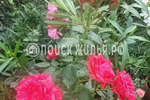 Дом под ключ «Криница», Бетта