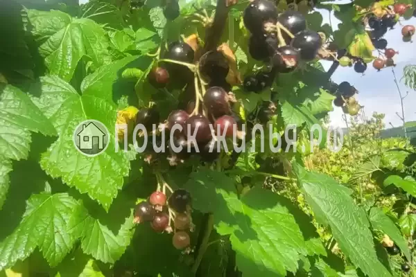 Дом под ключ «Криница», Бетта